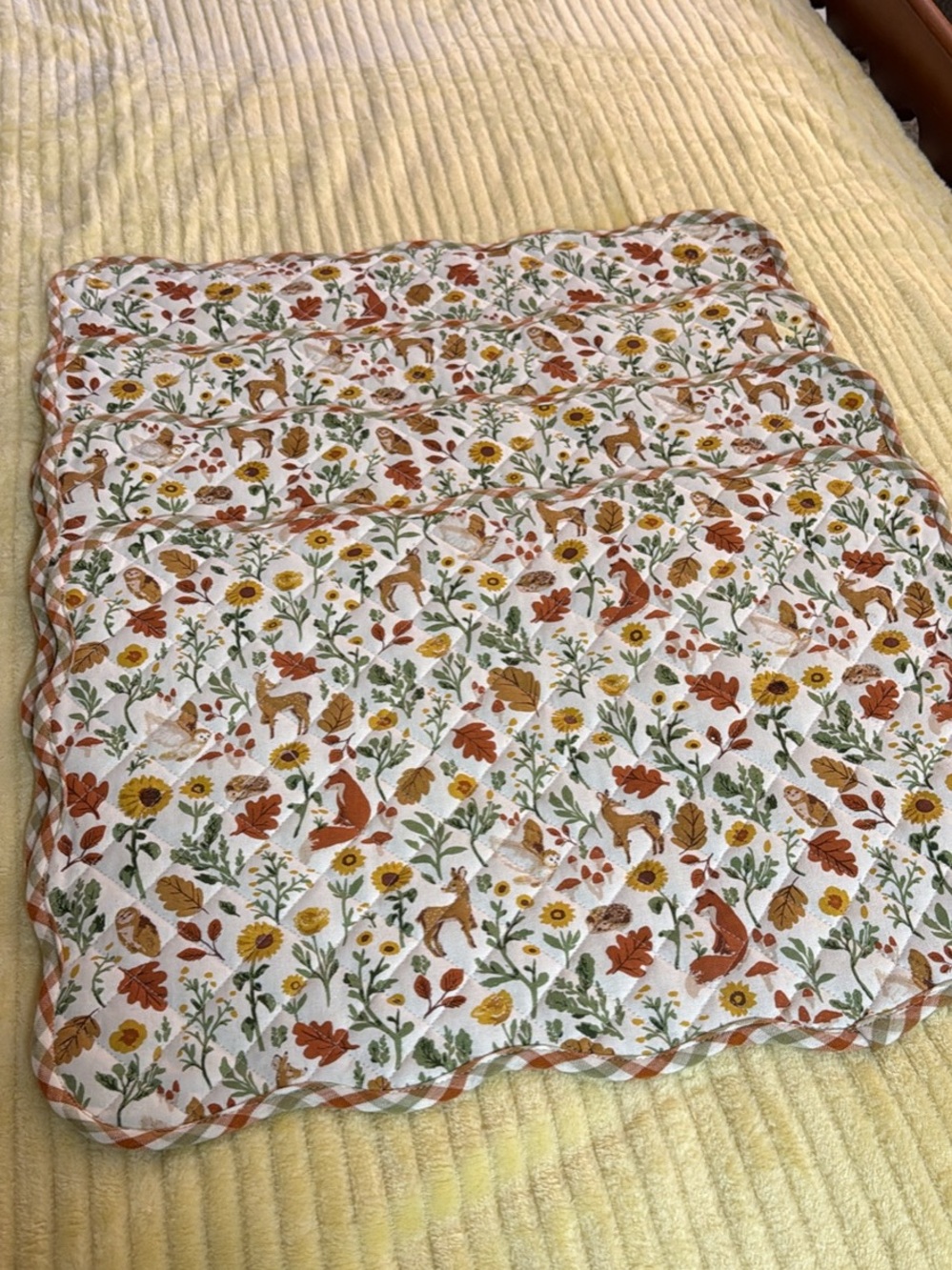 Set of 4 Fall Kitchen placemats and dish towel lot